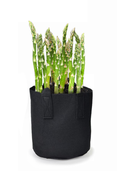 grow planter bags Garden Fabric Grow Bags Where To Buy 7 Gal. – Andy's Asparagus Acres