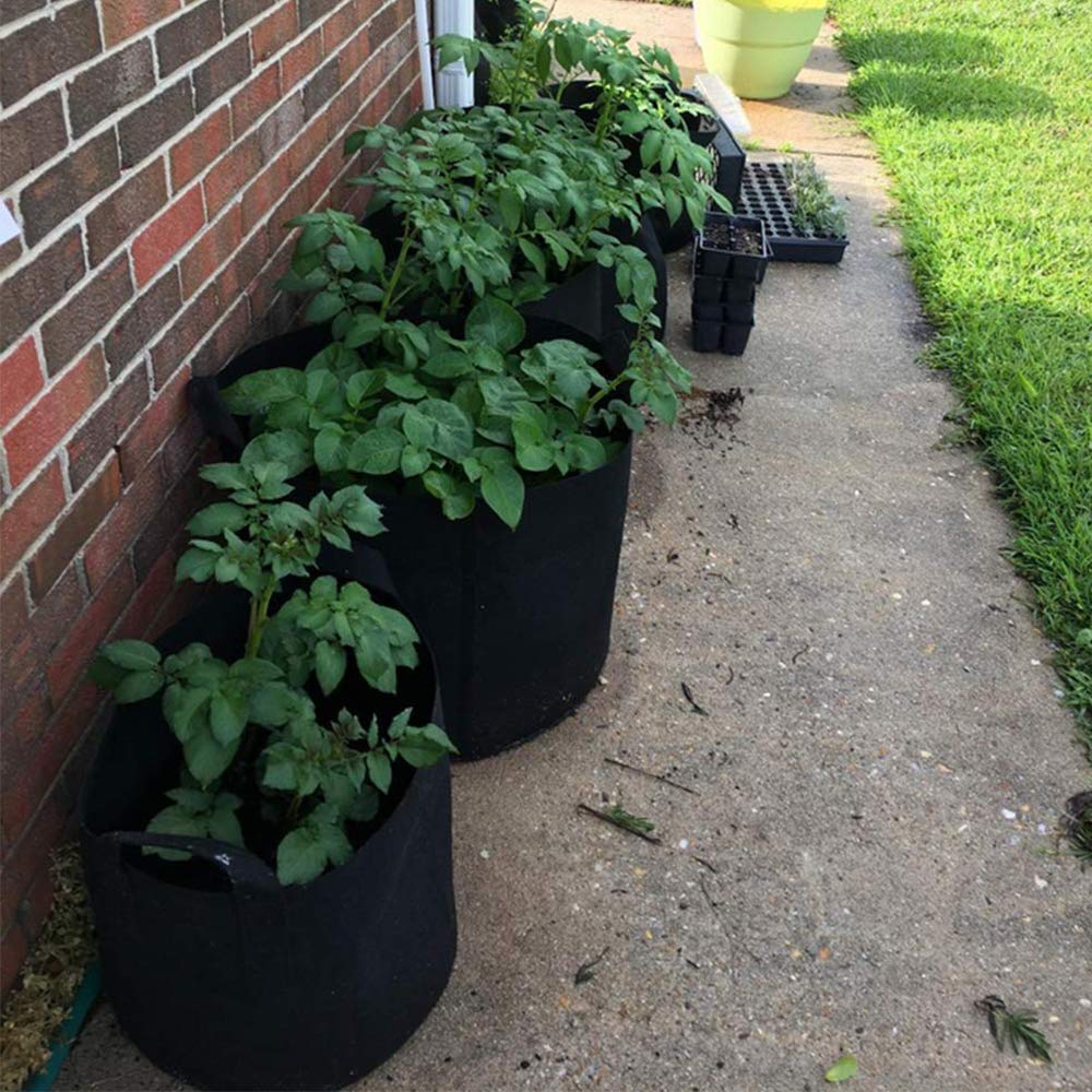 walmart plant grow bags Garden Fabric Grow Bags Where To Buy 7 Gal. – Andy's Asparagus Acres